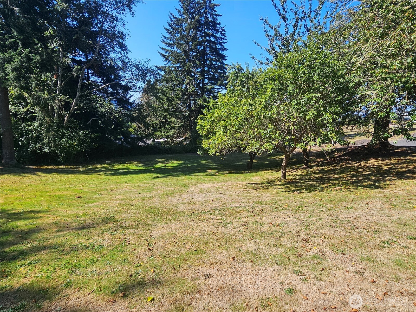 42 Clover Street Property Photo 6