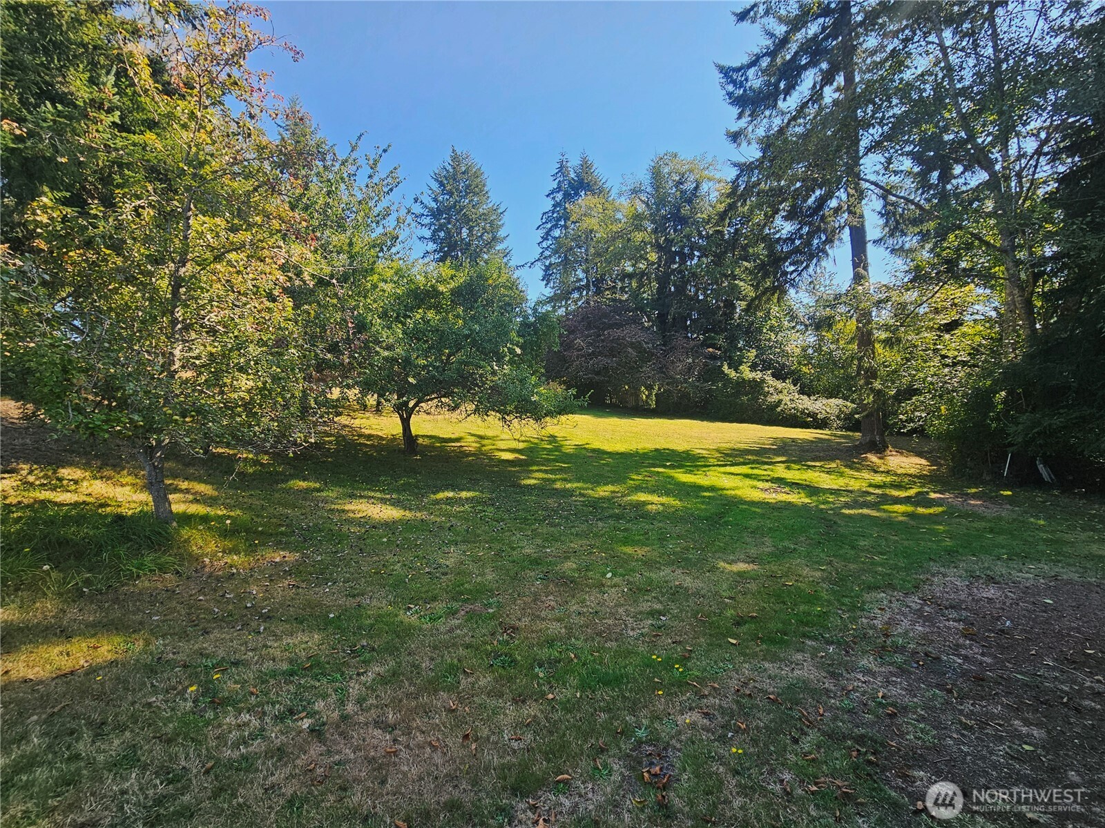 42 Clover Street Property Photo 7