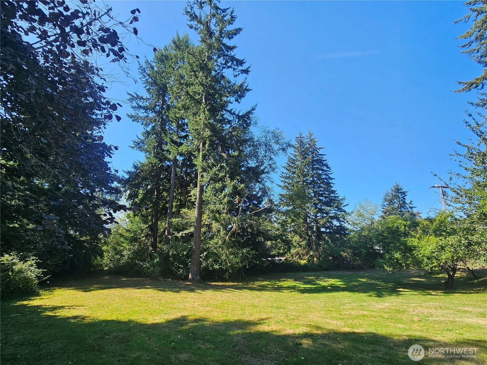 42 Clover Street Property Photo 8
