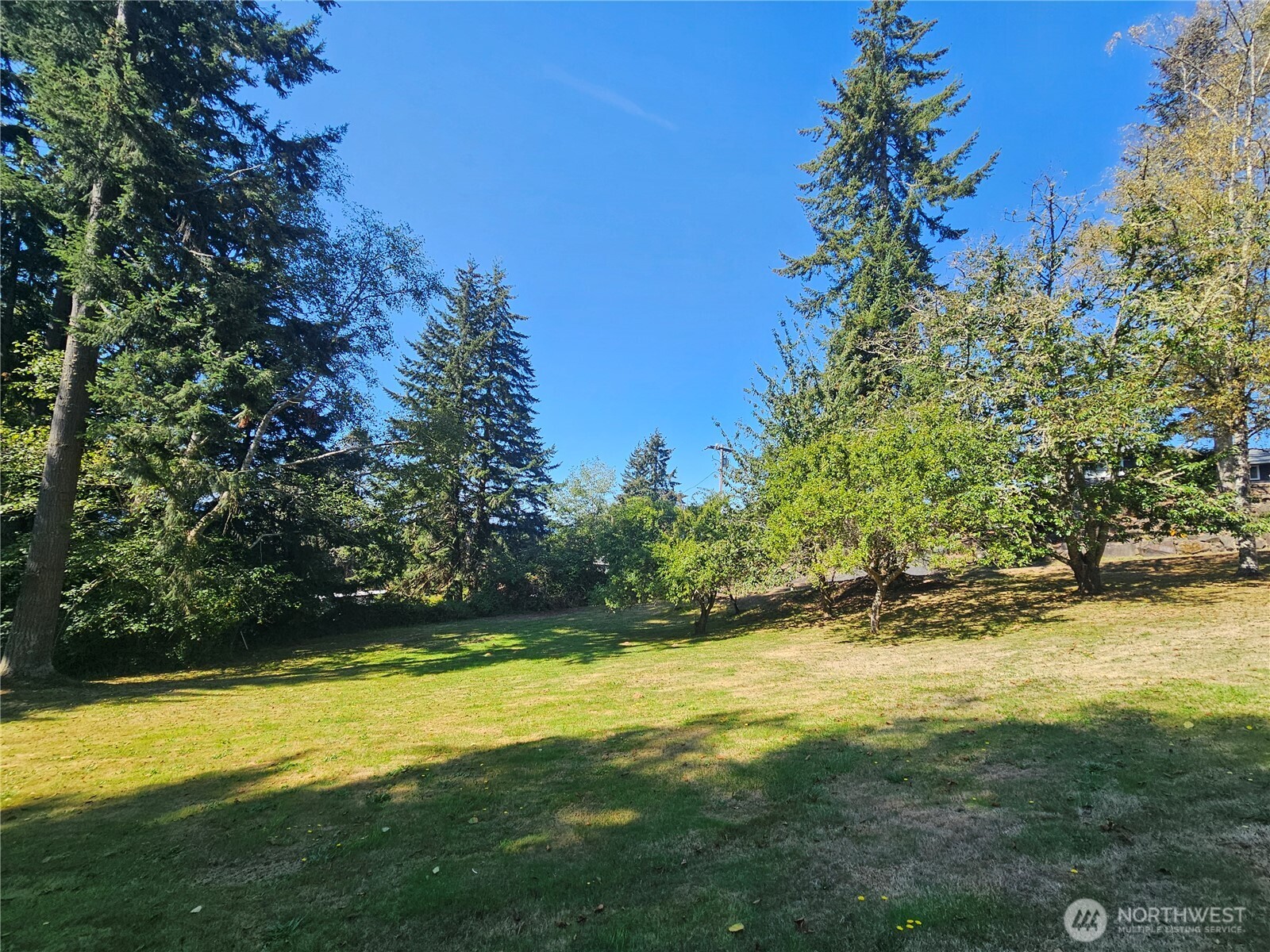 42 Clover Street Property Photo 10