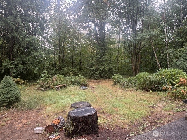 450 N Duckabush Drive Property Photo 19