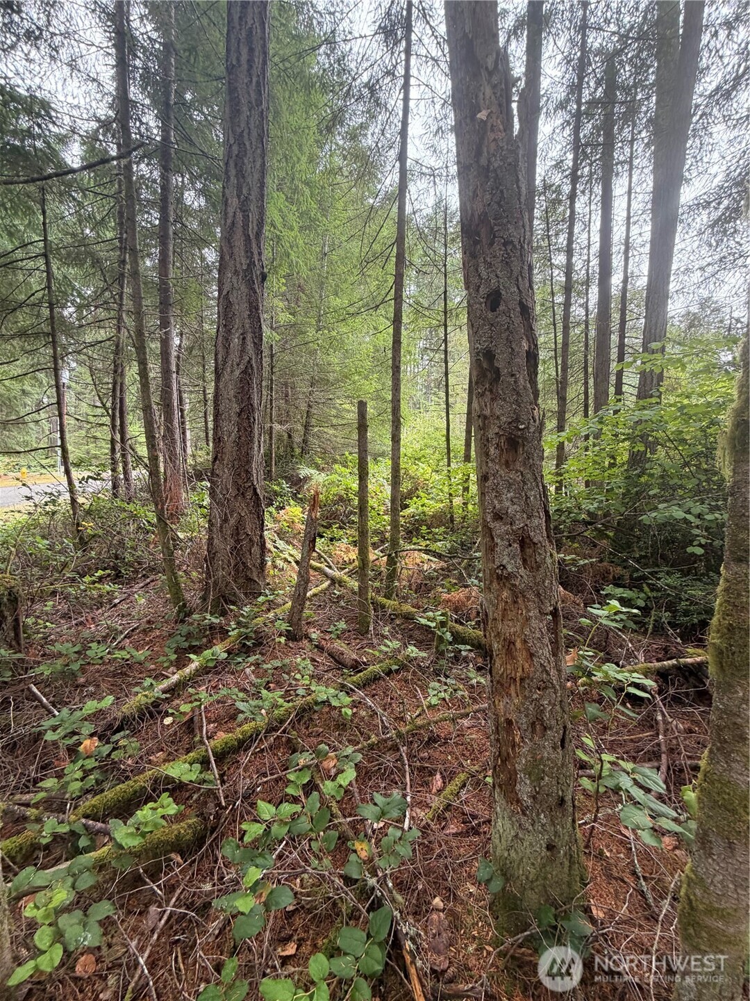 11928 Country Club Drive Property Photo 1
