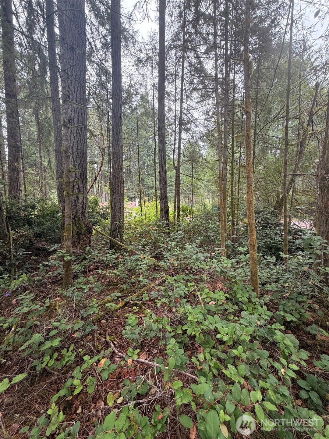 11928 Country Club Drive Property Photo 2