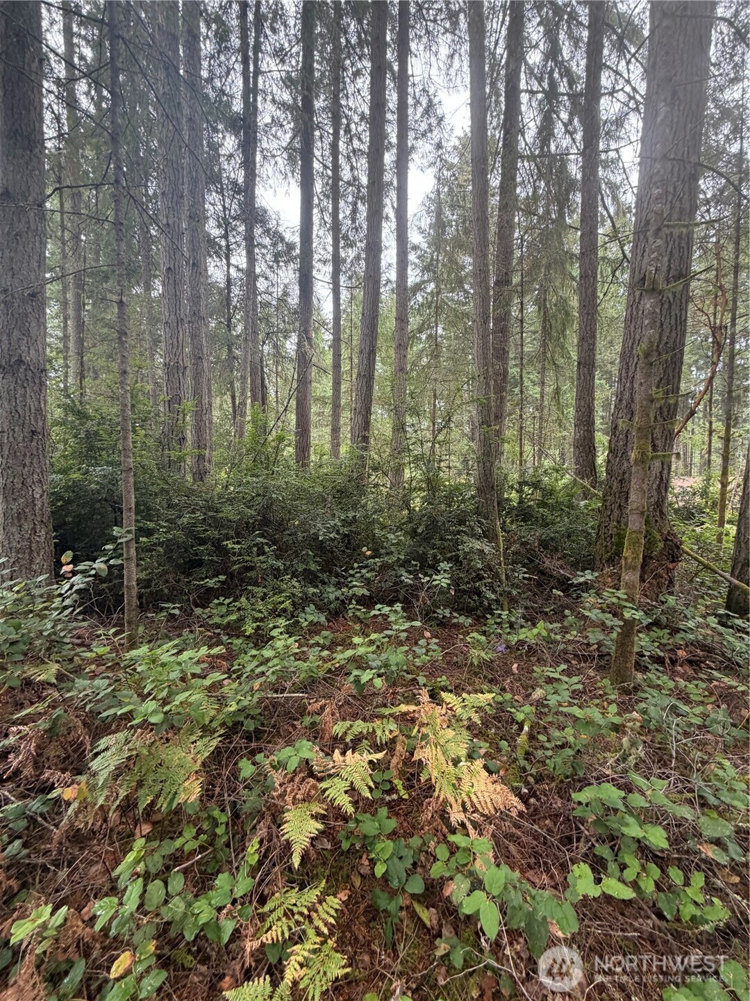 11928 Country Club Drive Property Photo 3