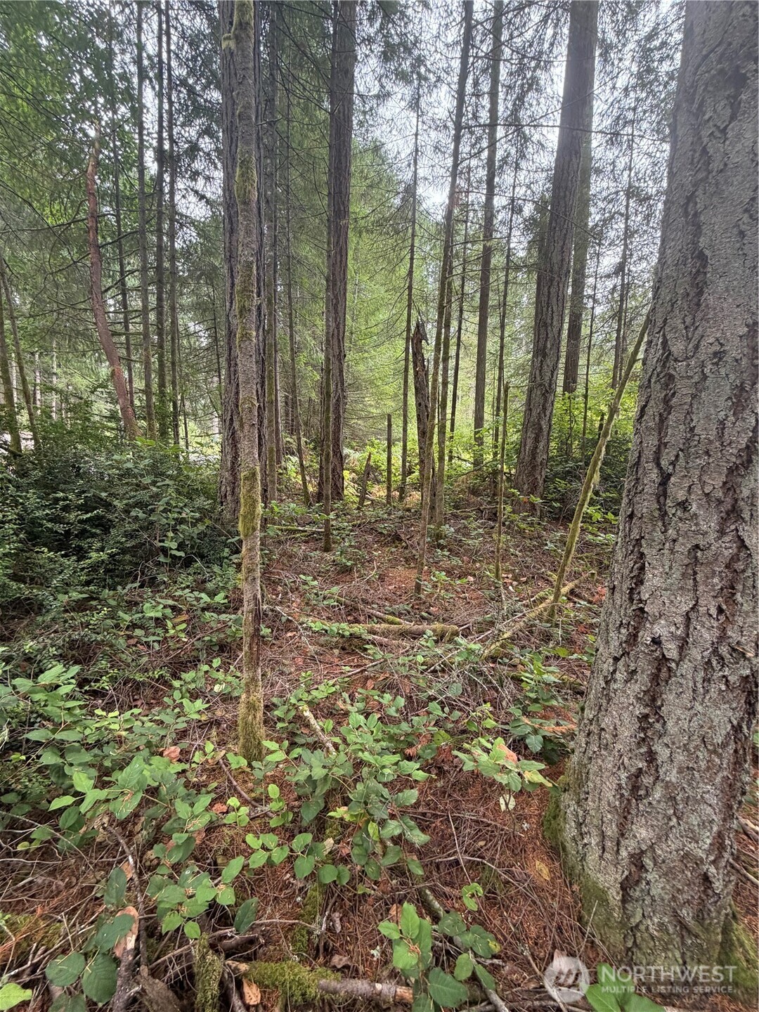 11928 Country Club Drive Property Photo 4
