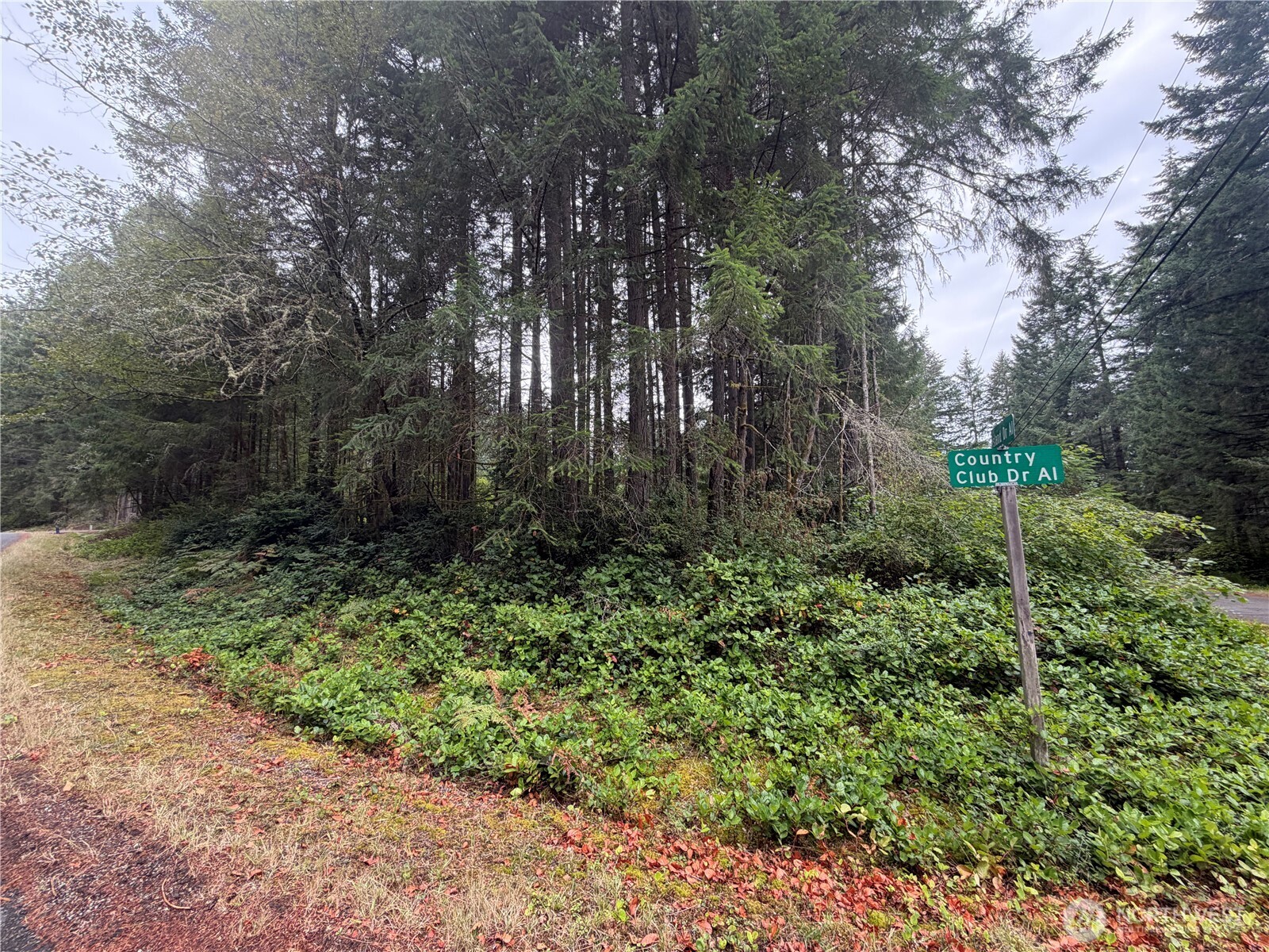 11928 Country Club Drive Property Photo 8