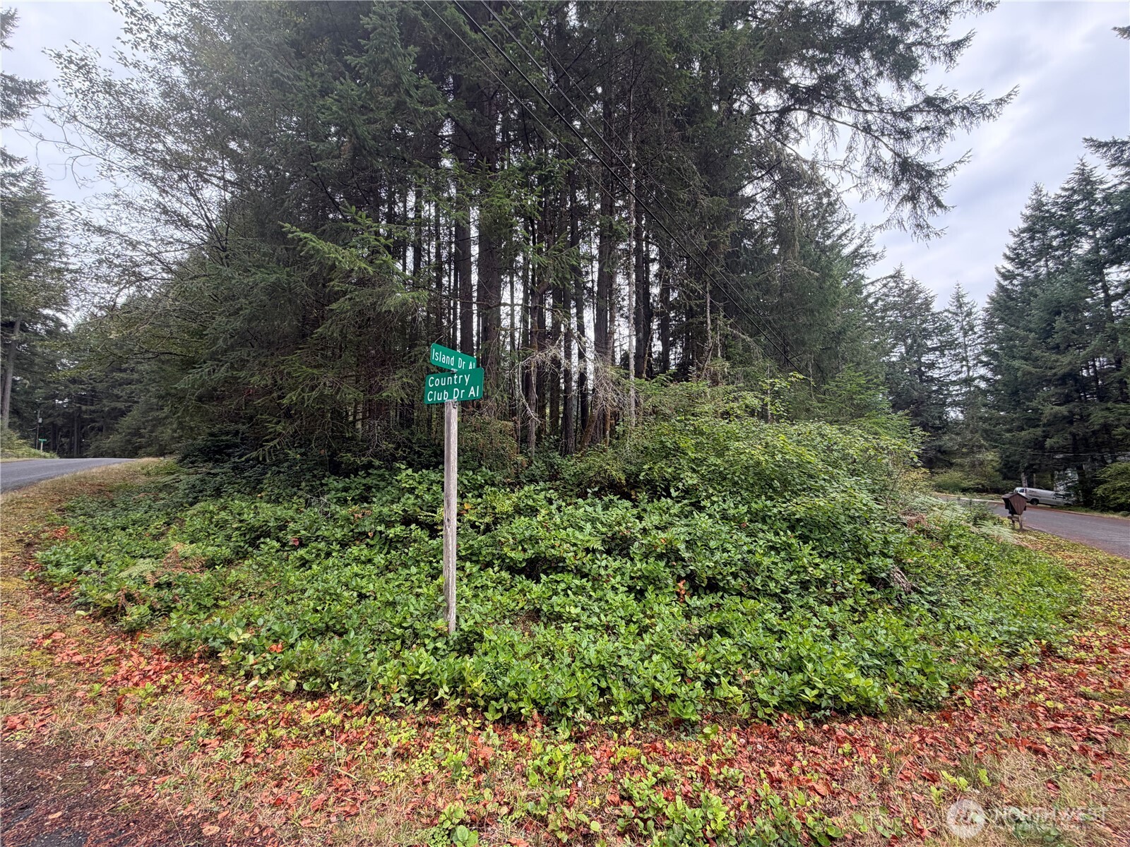 11928 Country Club Drive Property Photo 10