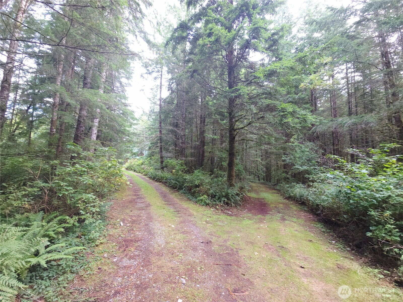 13606 278th Drive Property Photo 23