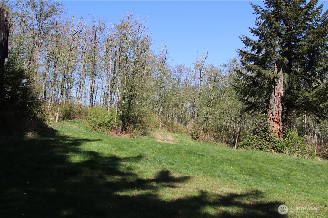 17635 Se Cougar Mountain Drive Property Photo 7