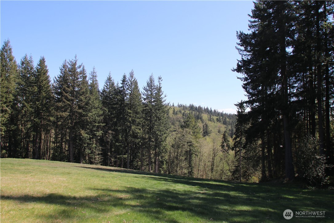 17635 Se Cougar Mountain Drive Property Photo 10