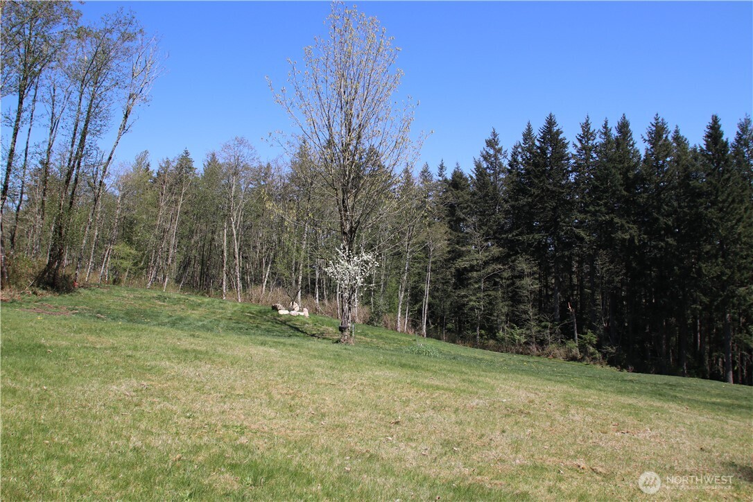 17635 Se Cougar Mountain Drive Property Photo 11