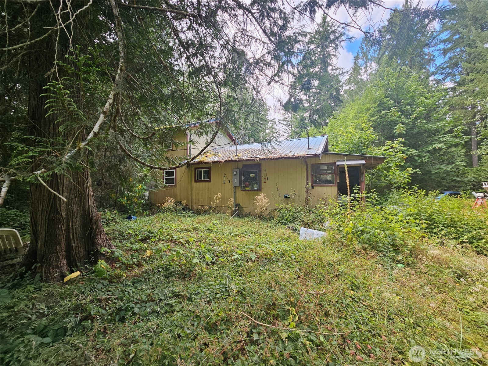 960 Duckabush Road Property Photo 1
