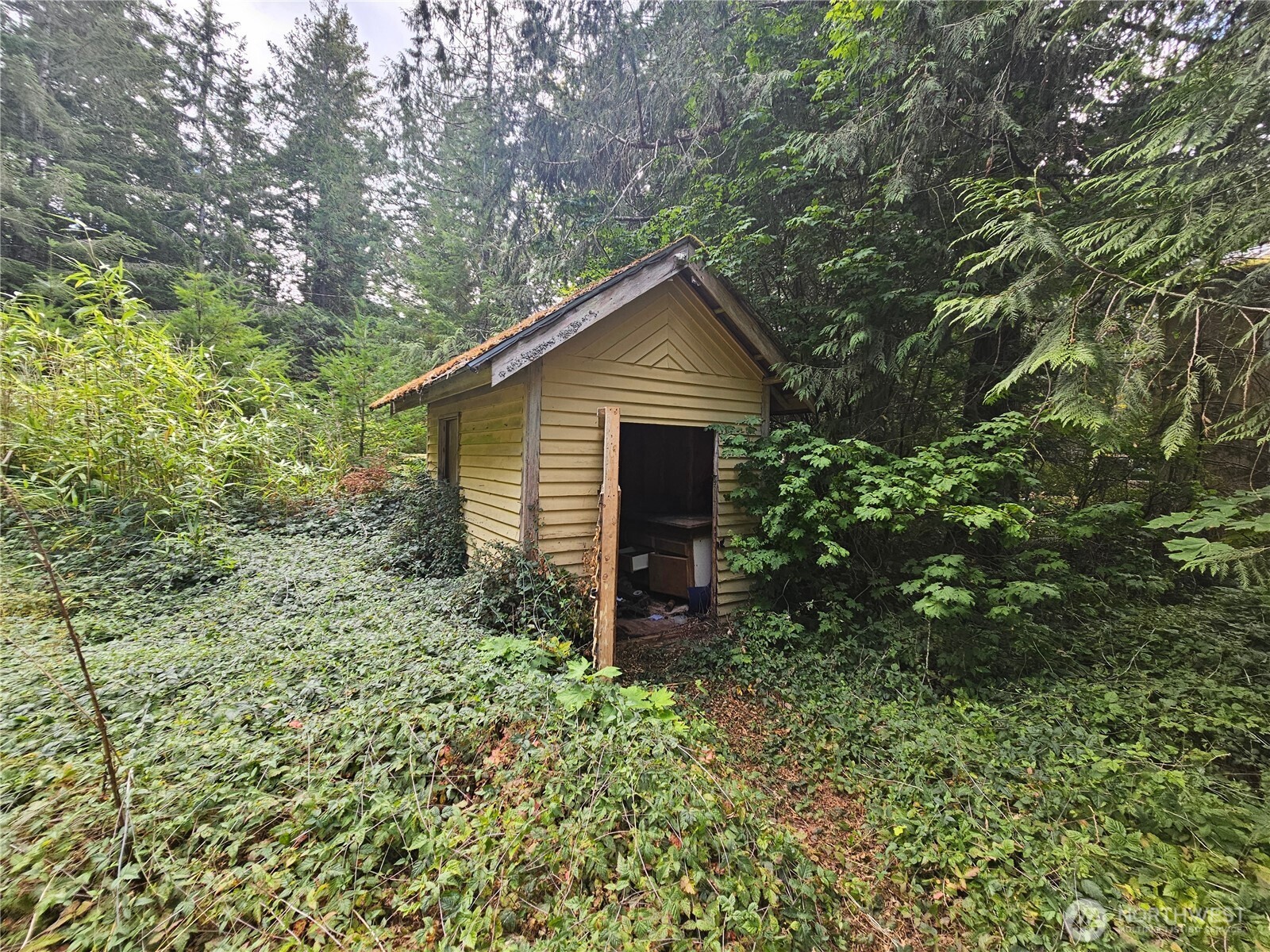 960 Duckabush Road Property Photo 12