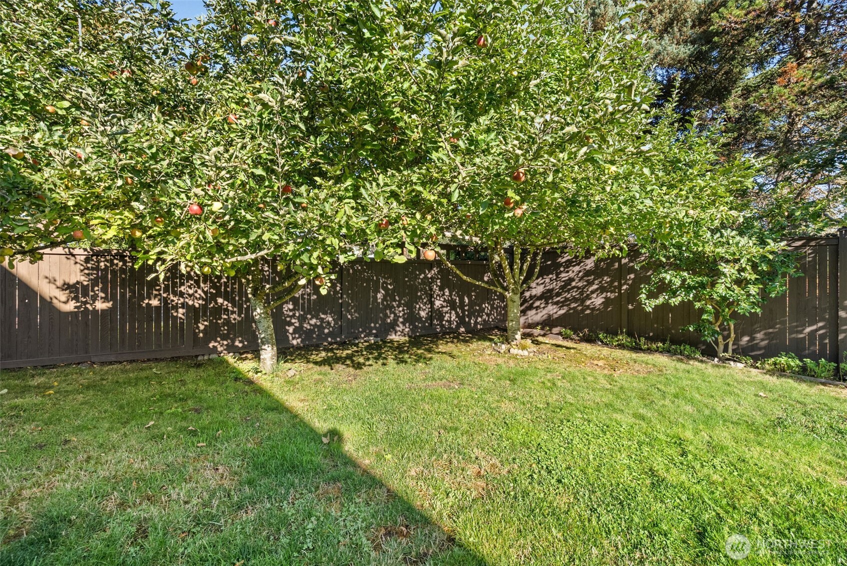 13204 Se 306th Property Photo 27