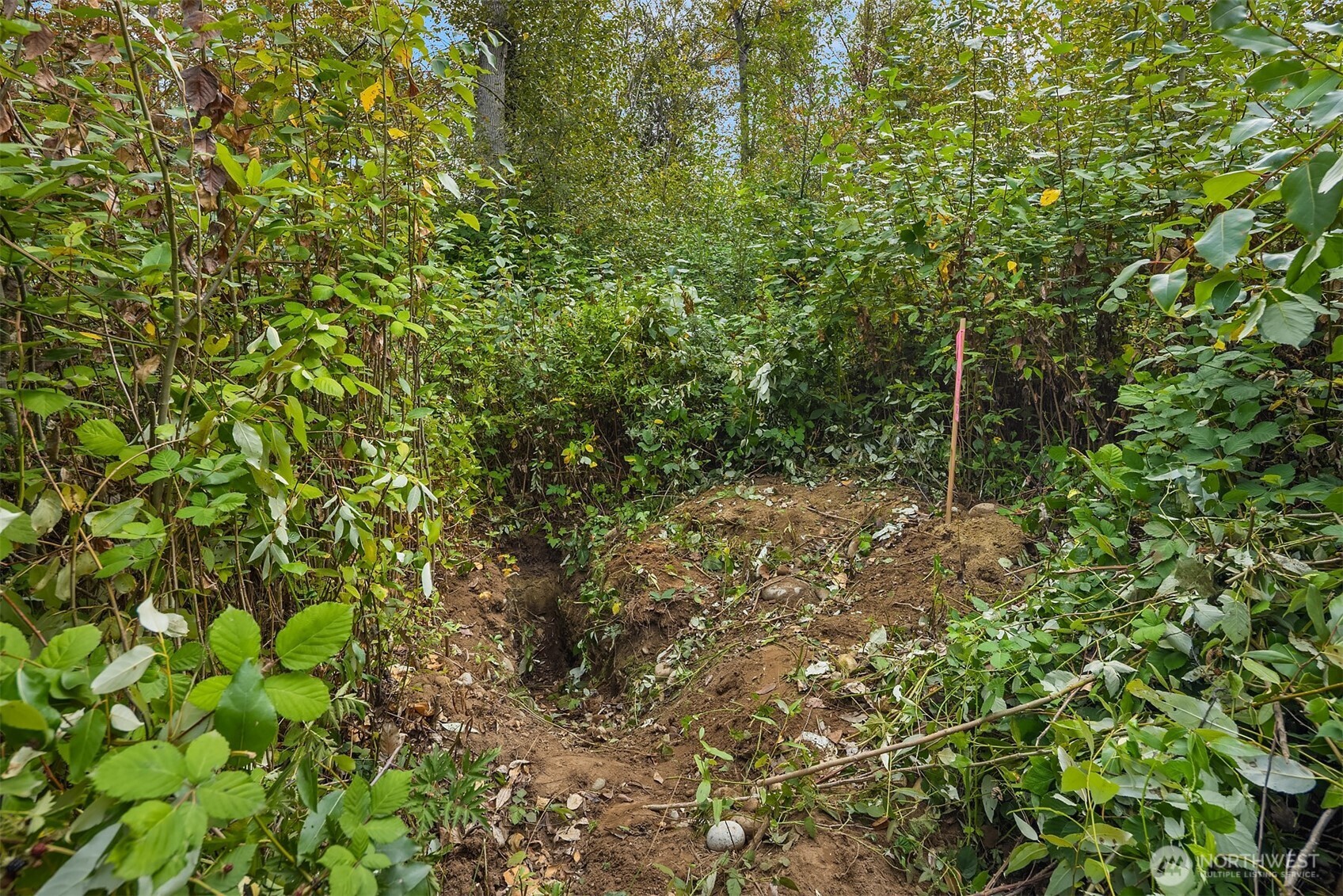 2 Xxxx Ne 50th Street Property Photo 19