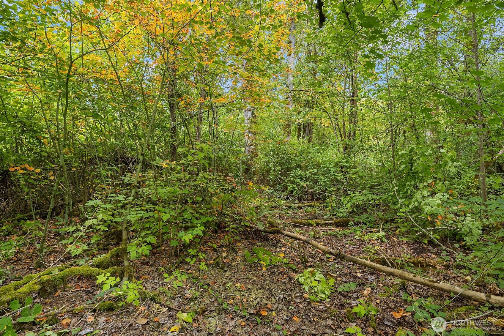 2 Xxxx Ne 50th Street Property Photo 23