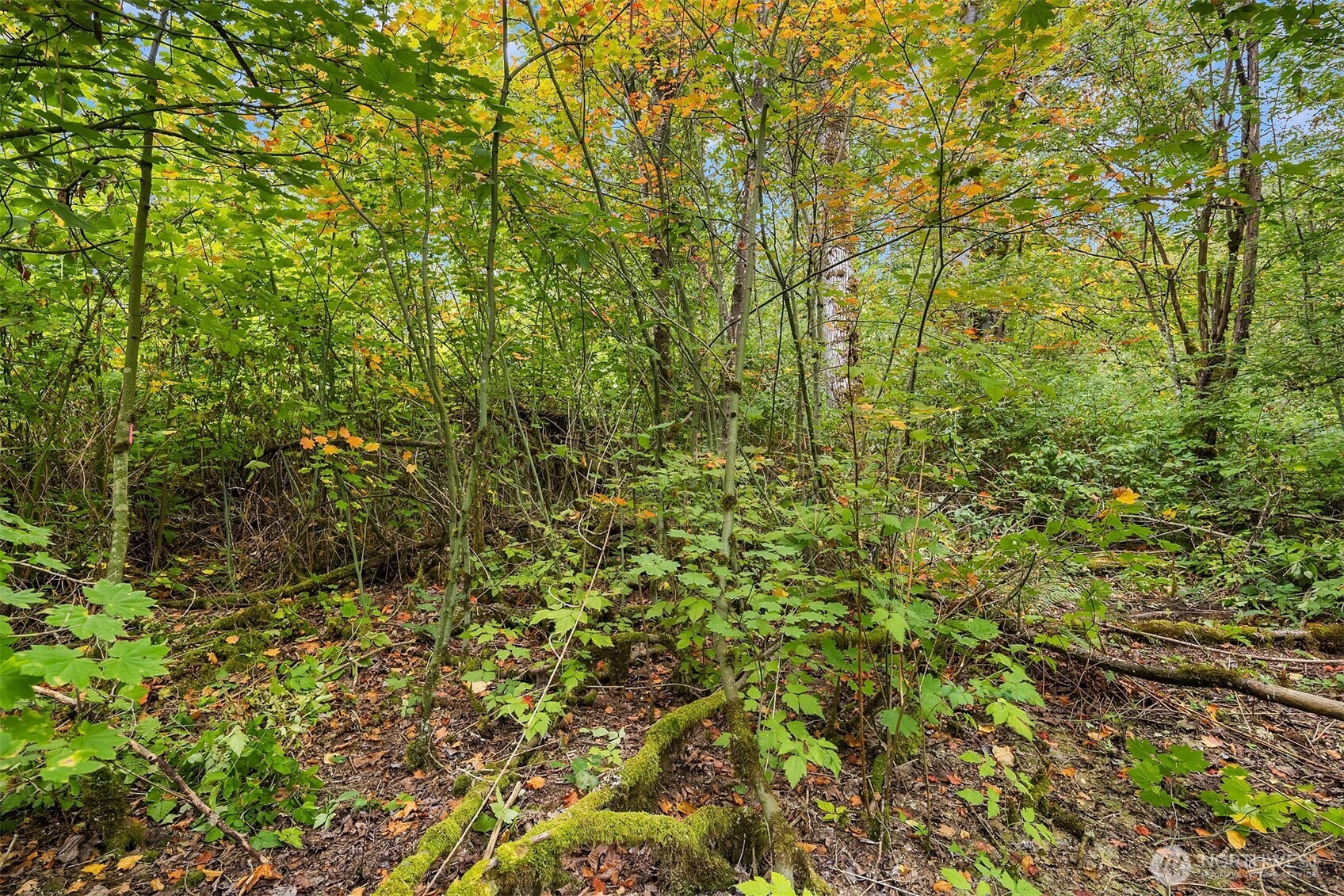 2 Xxxx Ne 50th Street Property Photo 24