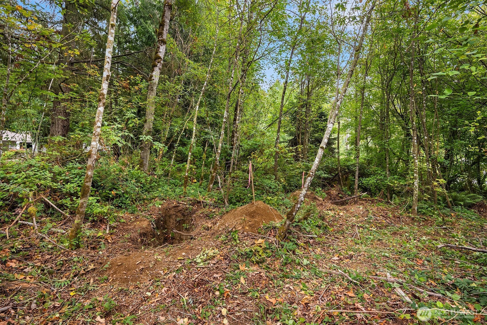 2 Xxxx Ne 50th Street Property Photo 25