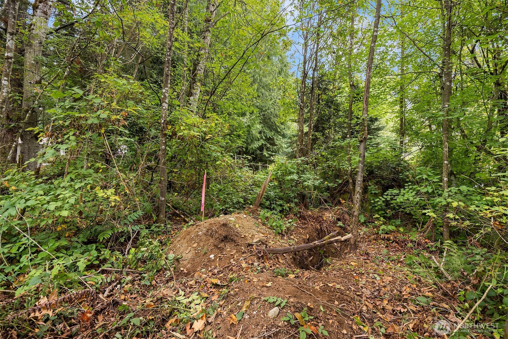 2 Xxxx Ne 50th Street Property Photo 26