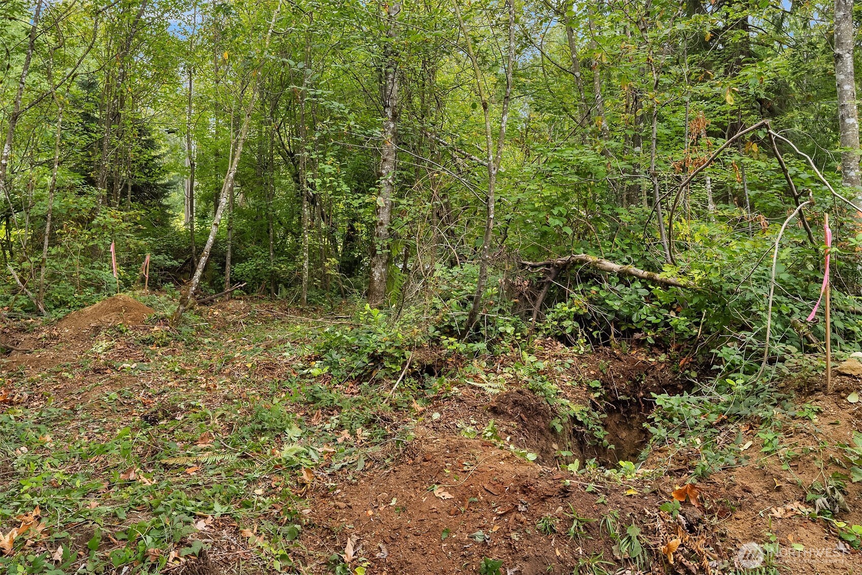 2 Xxxx Ne 50th Street Property Photo 28