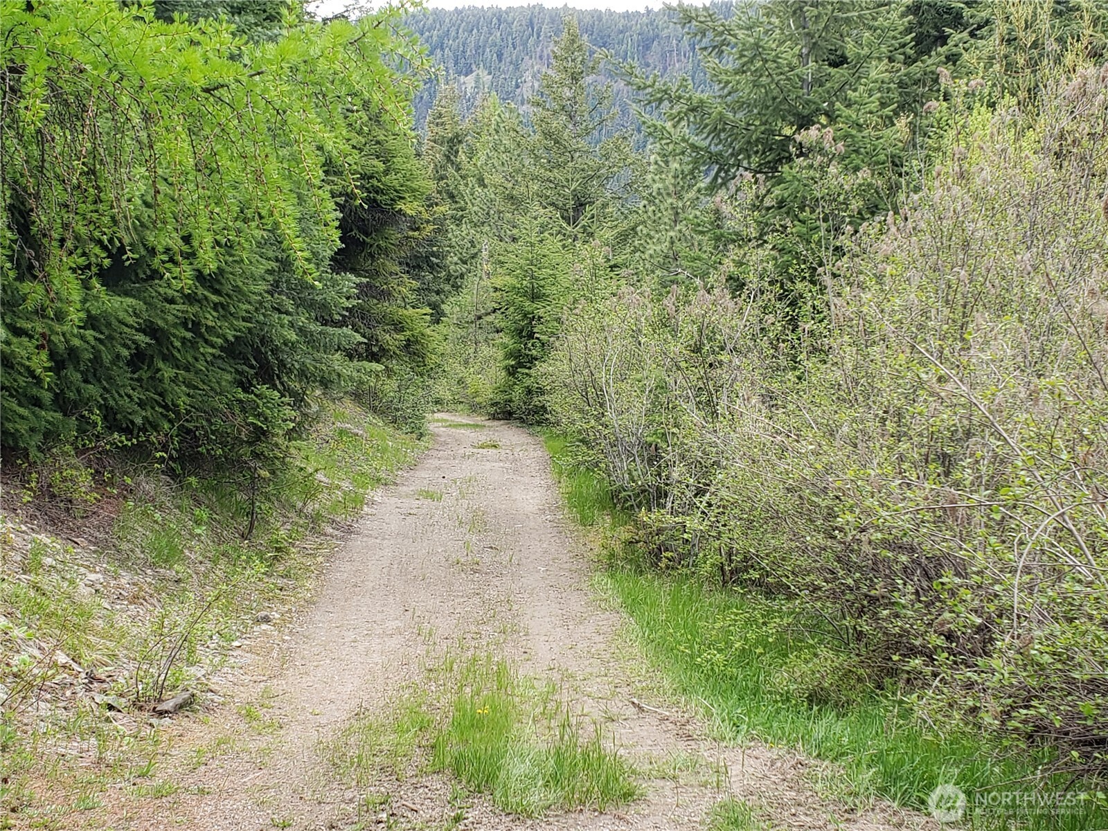 3300 F.s. Road Property Photo 3
