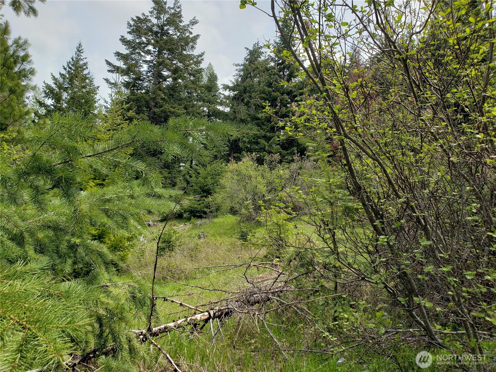 3300 F.s. Road Property Photo 7