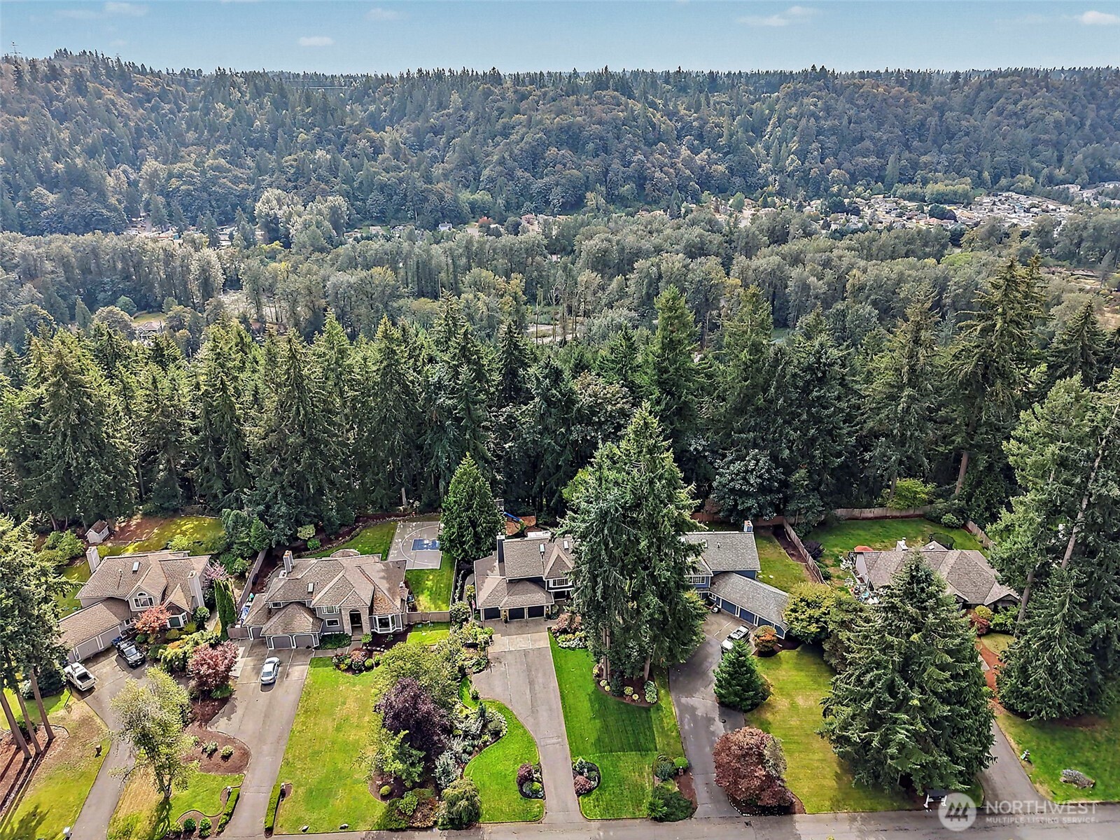 16101 Se 149th Street Property Photo 38