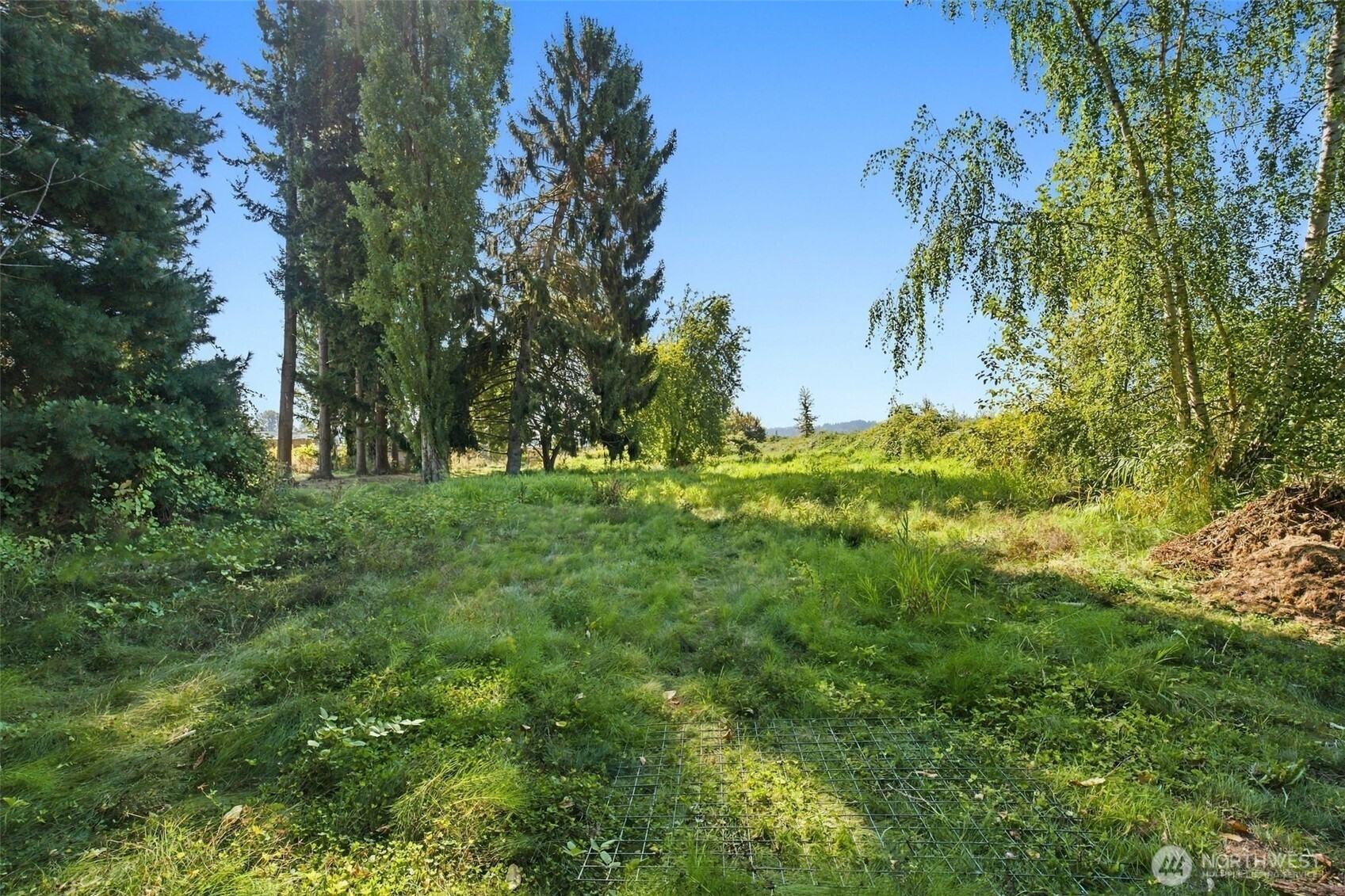 9624 Lowell Snohomish River Road Property Photo 40