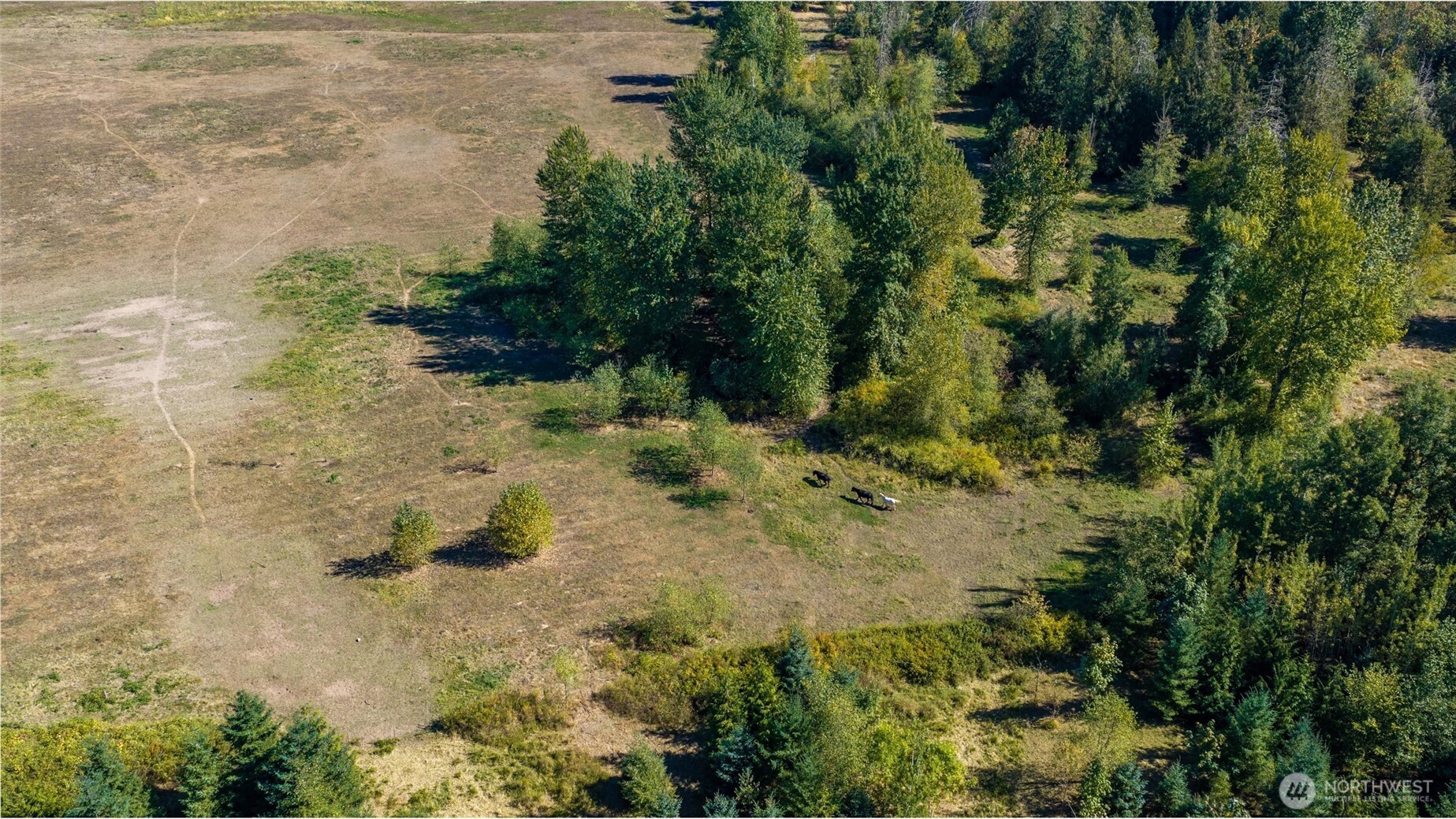 2753 E Badger Road Property Photo 8