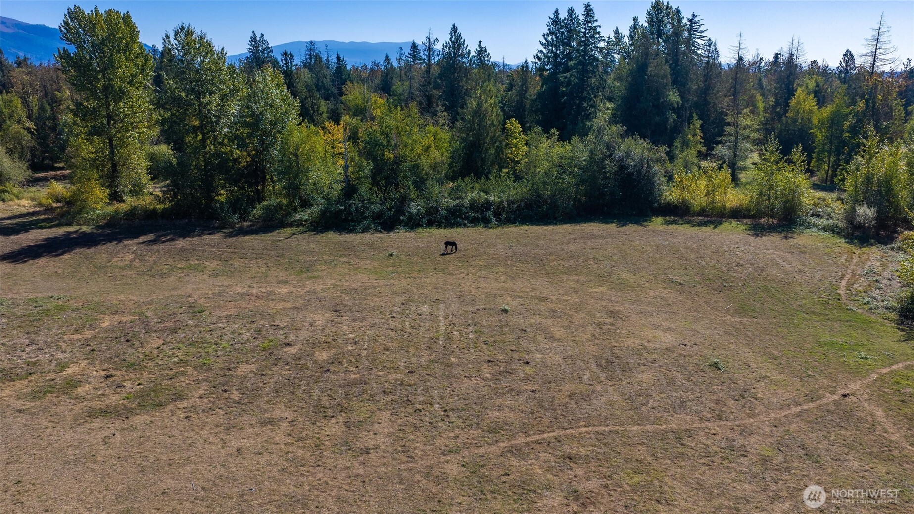2753 E Badger Road Property Photo 13