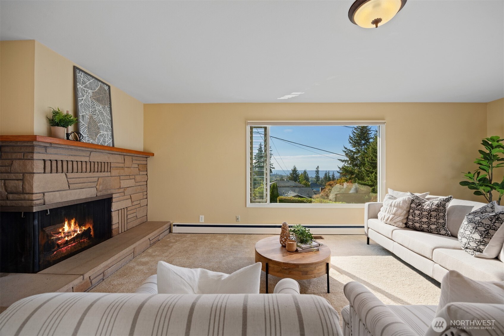 1145 Undine Street Property Photo 13
