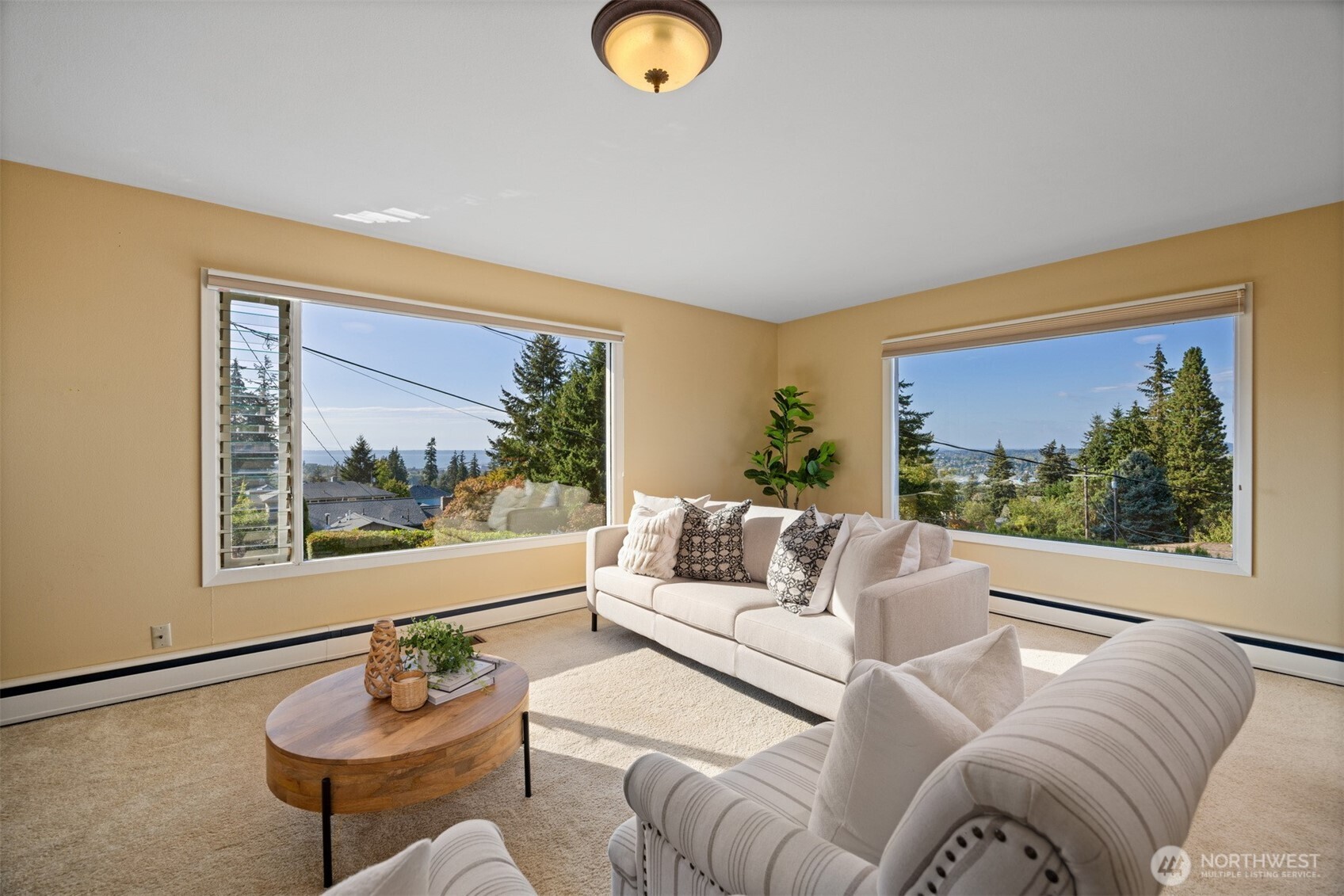 1145 Undine Street Property Photo 14