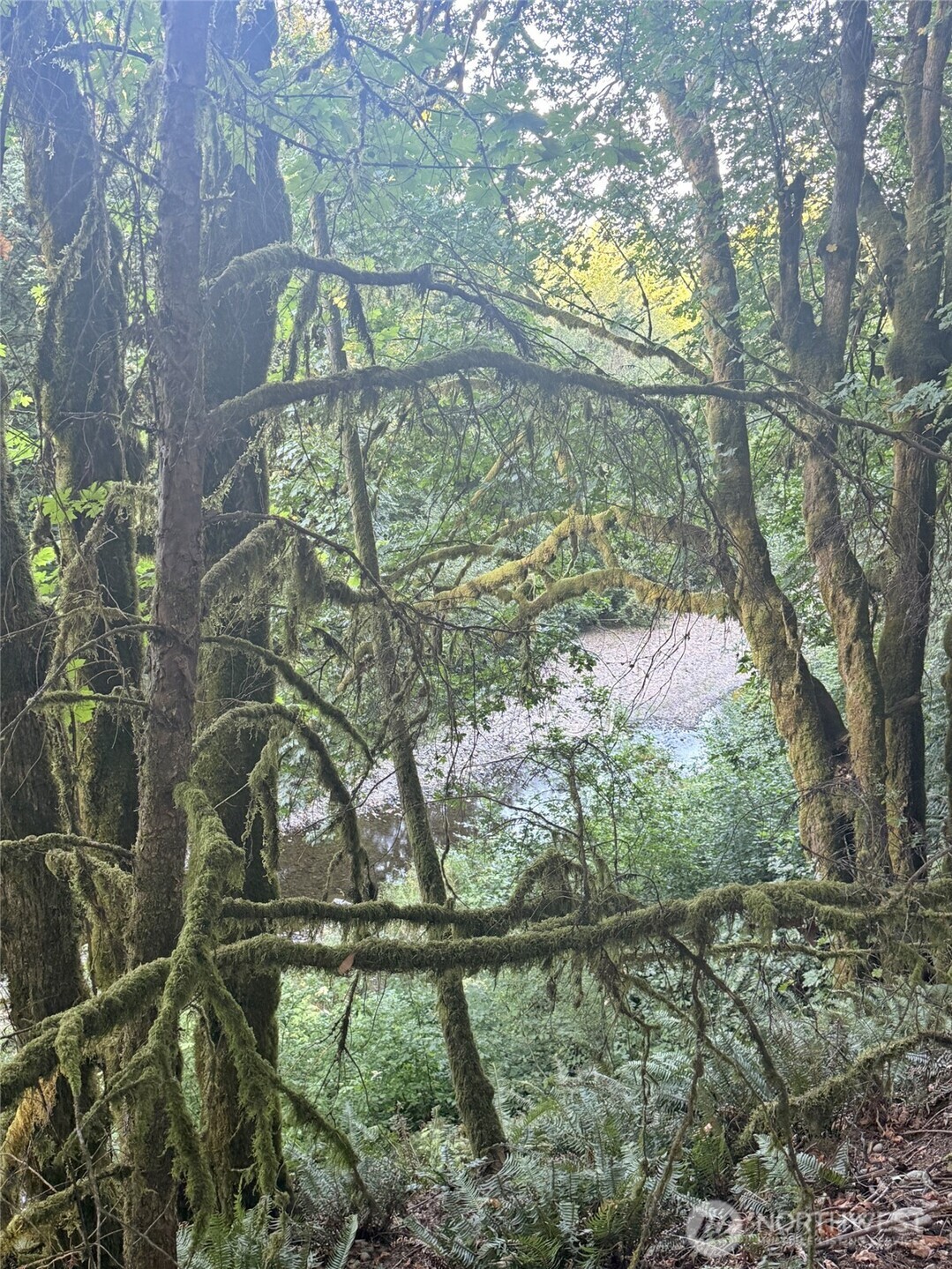 12446 Waddell Creek Road Property Photo 7