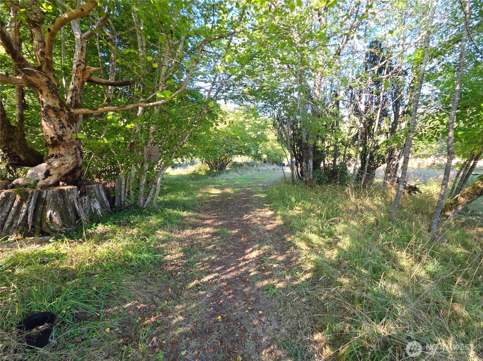 273 Pioneer Creek Lane Property Photo 11