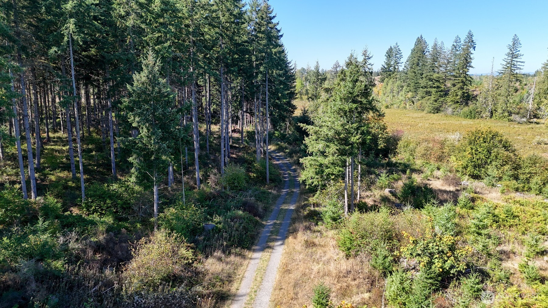13409 Algyer Road Property Photo 4