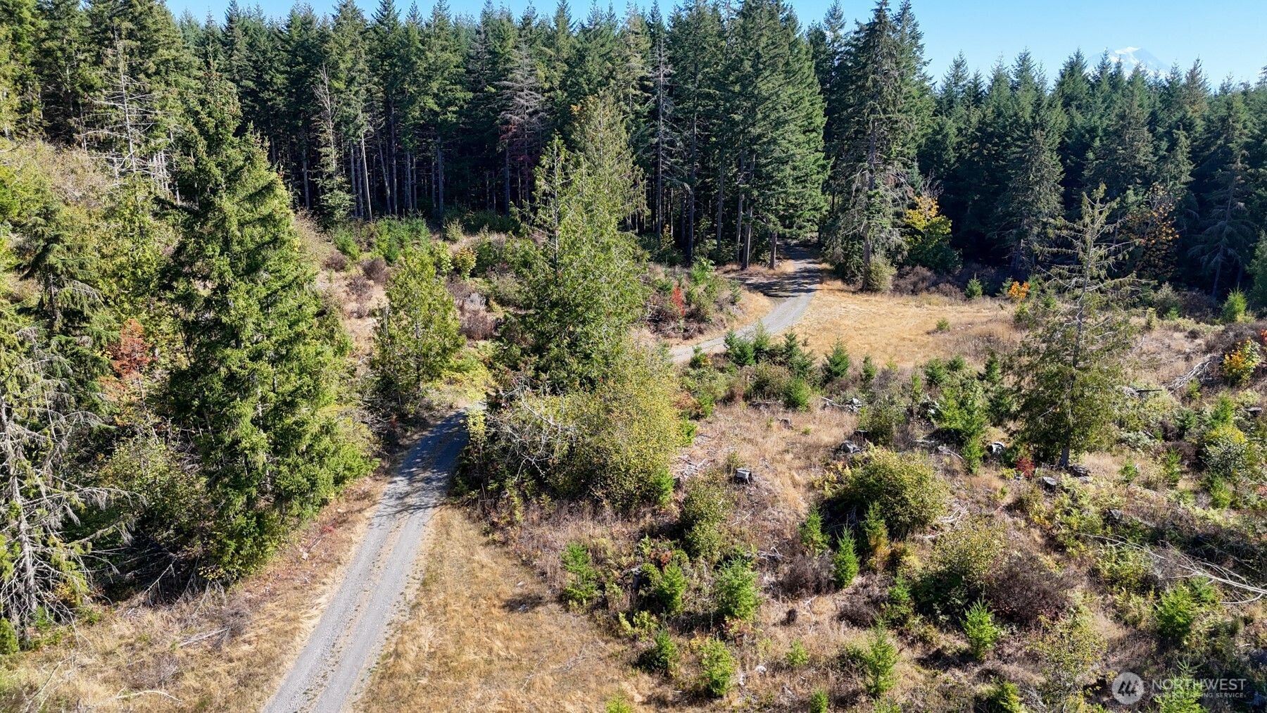 13409 Algyer Road Property Photo 9