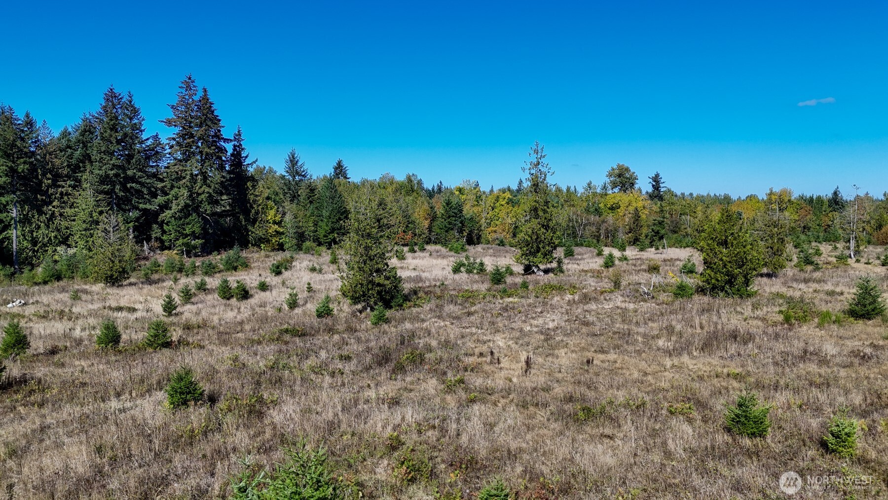 13409 Algyer Road Property Photo 18