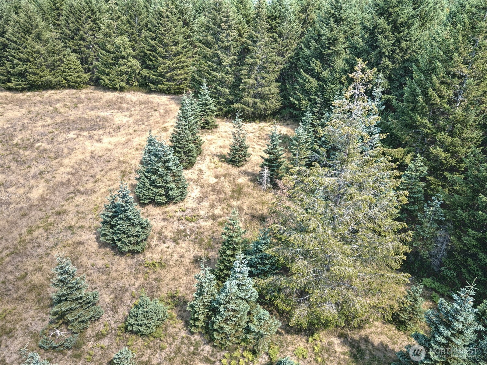 8391 E State Route 3 Property Photo 6