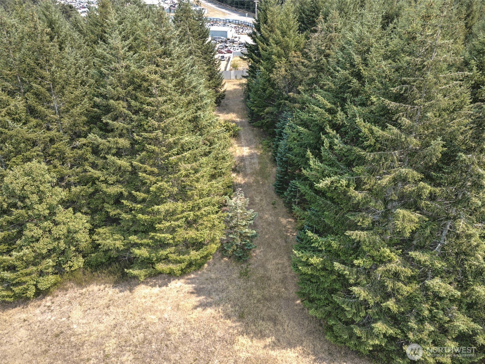 8391 E State Route 3 Property Photo 7