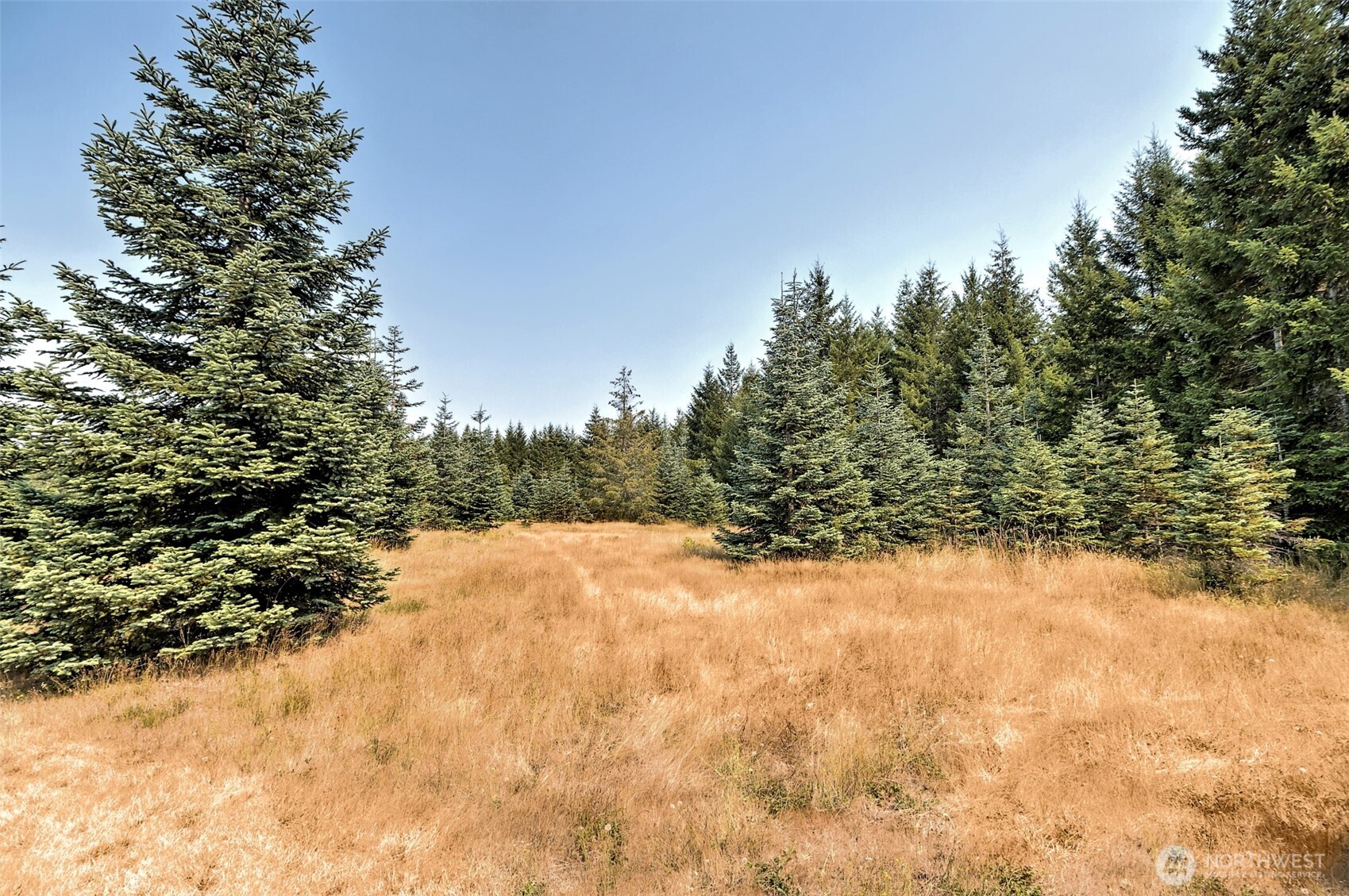 8391 E State Route 3 Property Photo 10