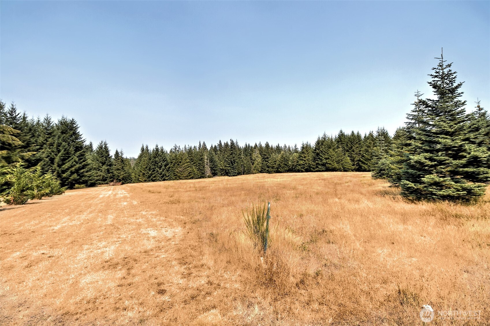 8391 E State Route 3 Property Photo 11