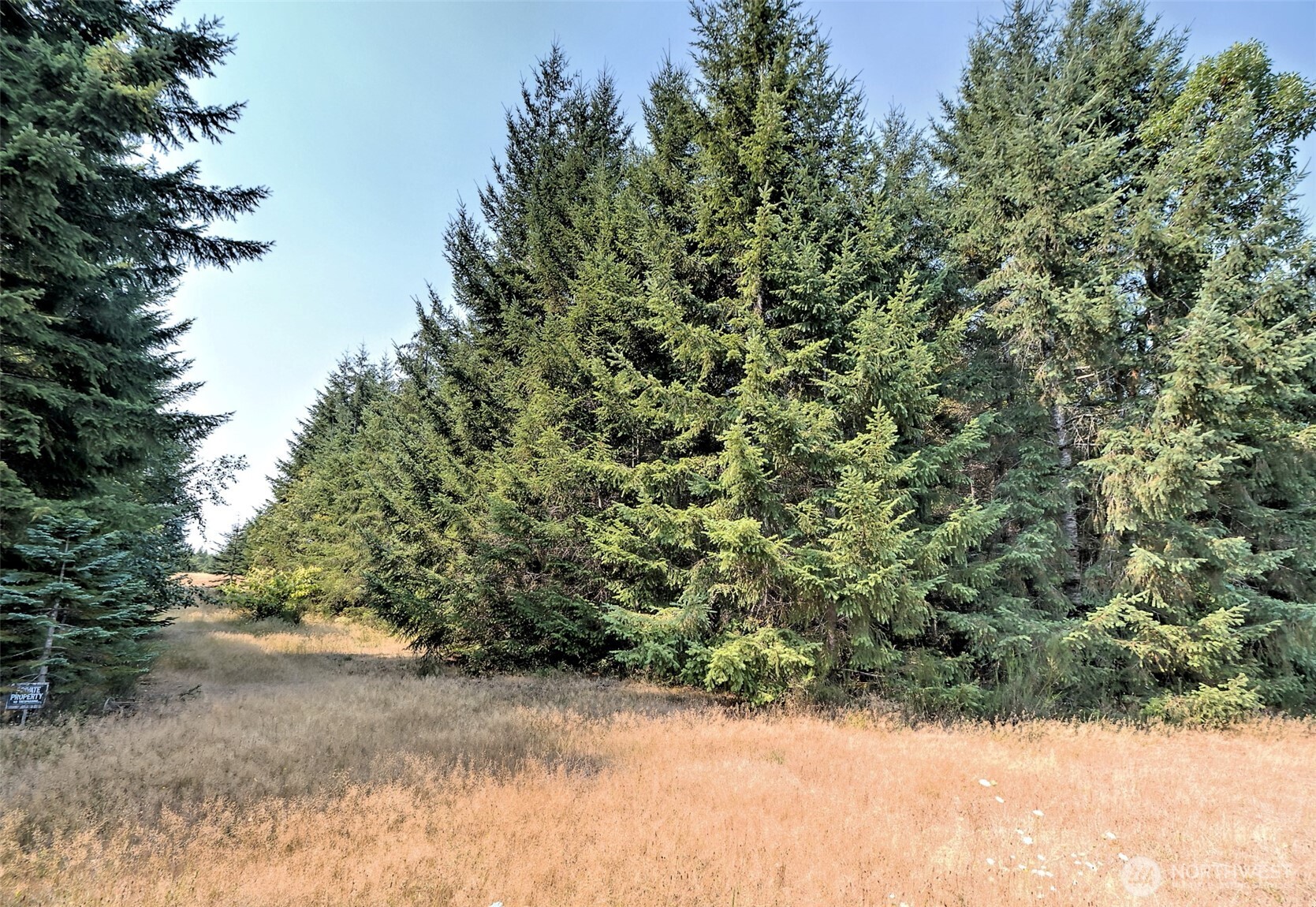 8391 E State Route 3 Property Photo 16