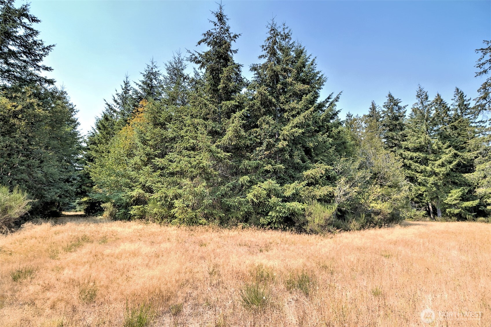 8391 E State Route 3 Property Photo 17