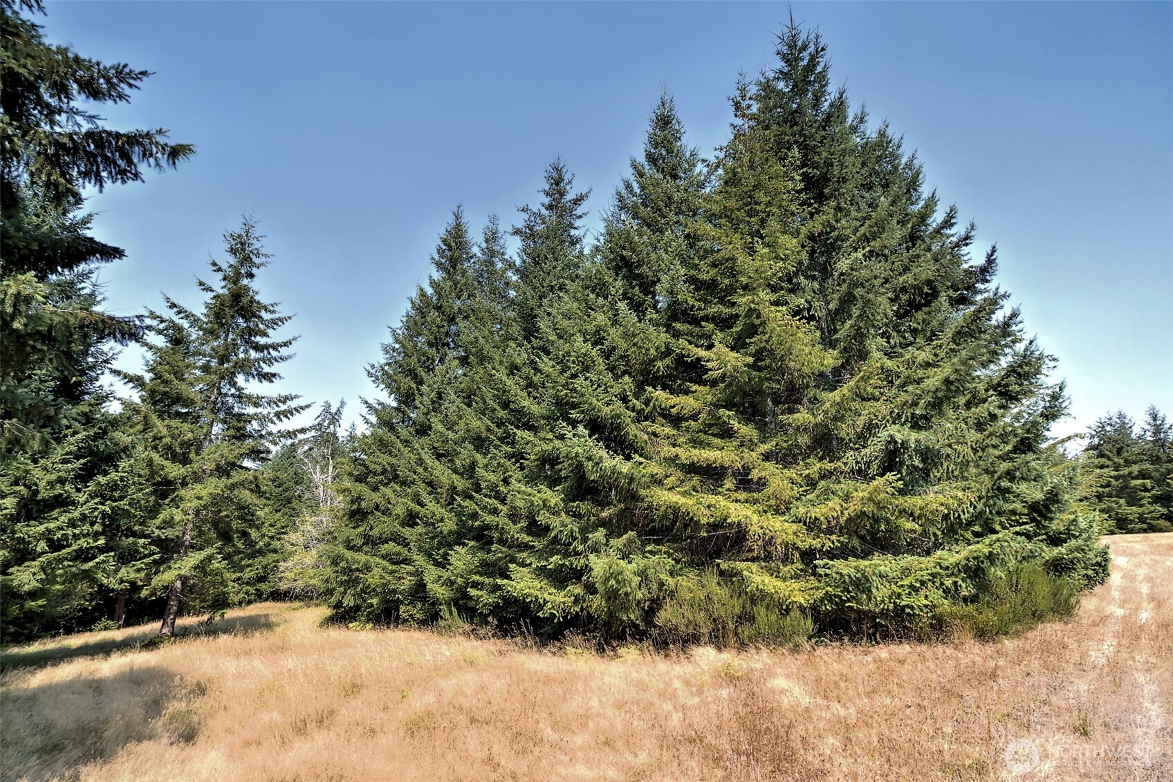 8391 E State Route 3 Property Photo 22