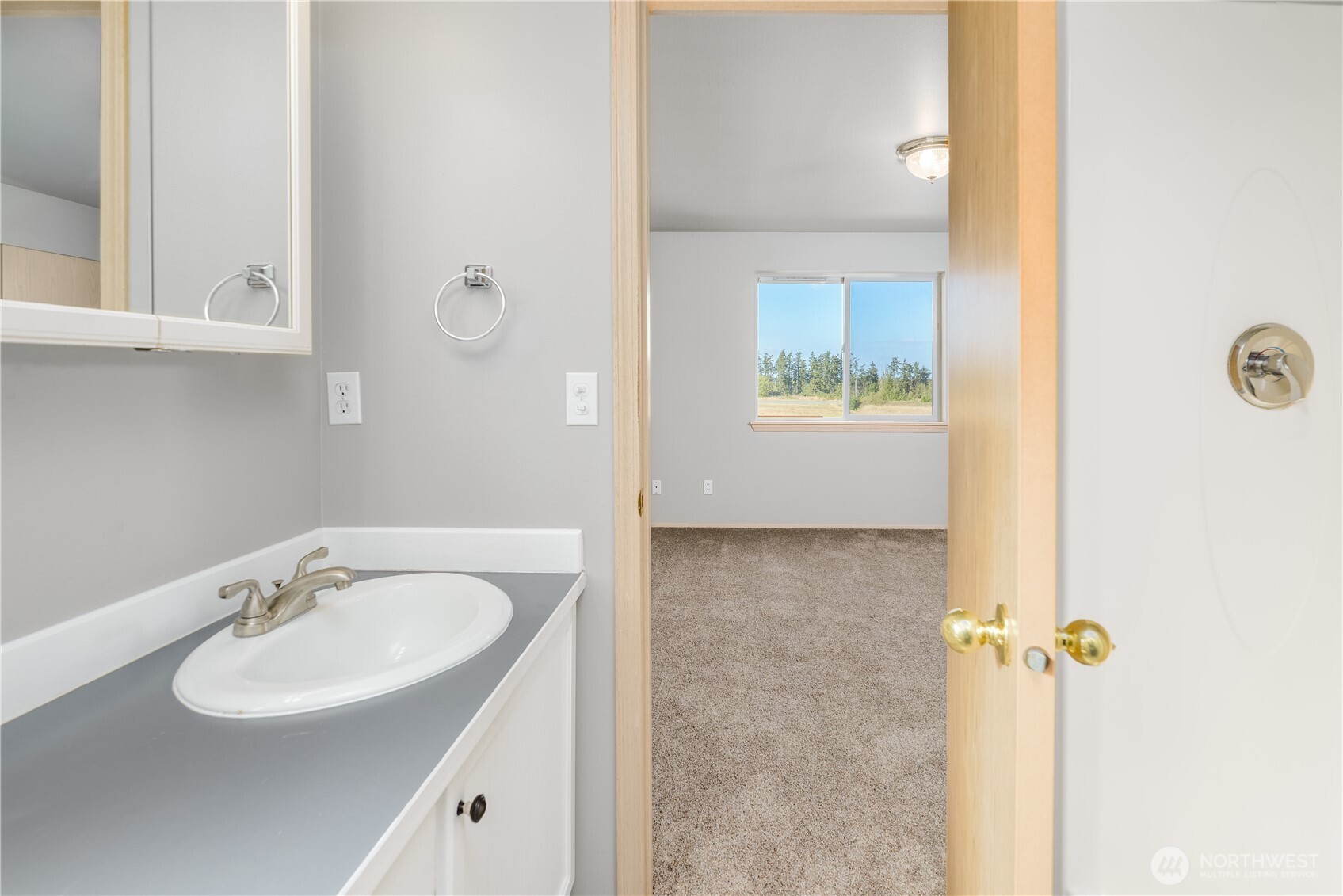 121 Alpine Loop Property Photo 26