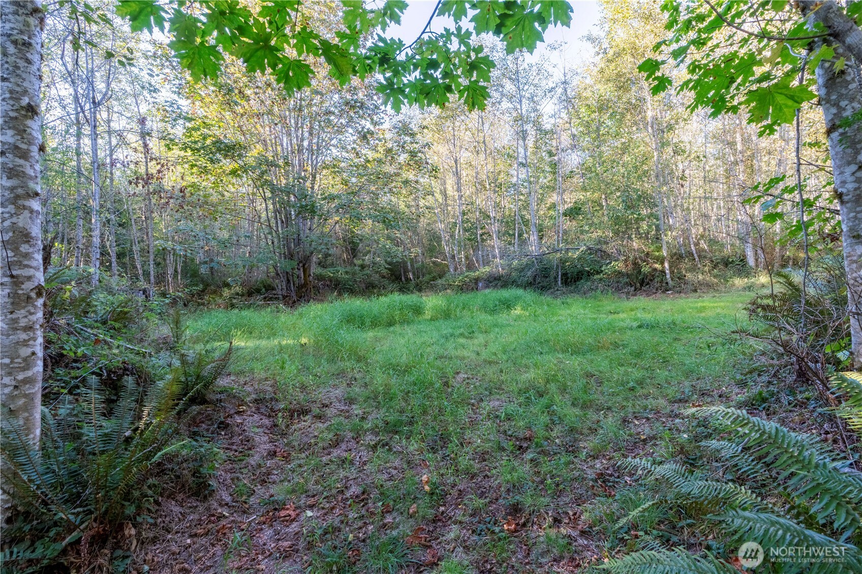 0 Lind Road Property Photo 7