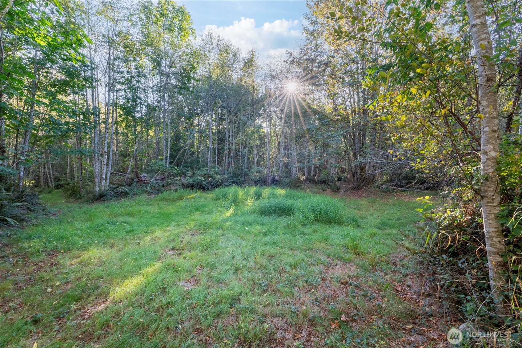 0 Lind Road Property Photo 8