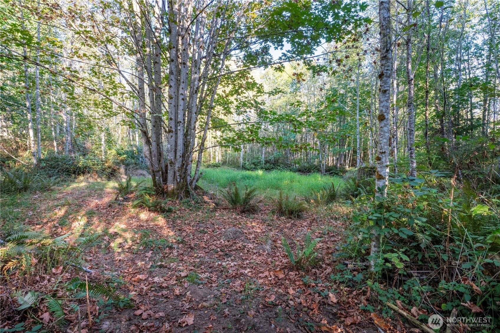 0 Lind Road Property Photo 11
