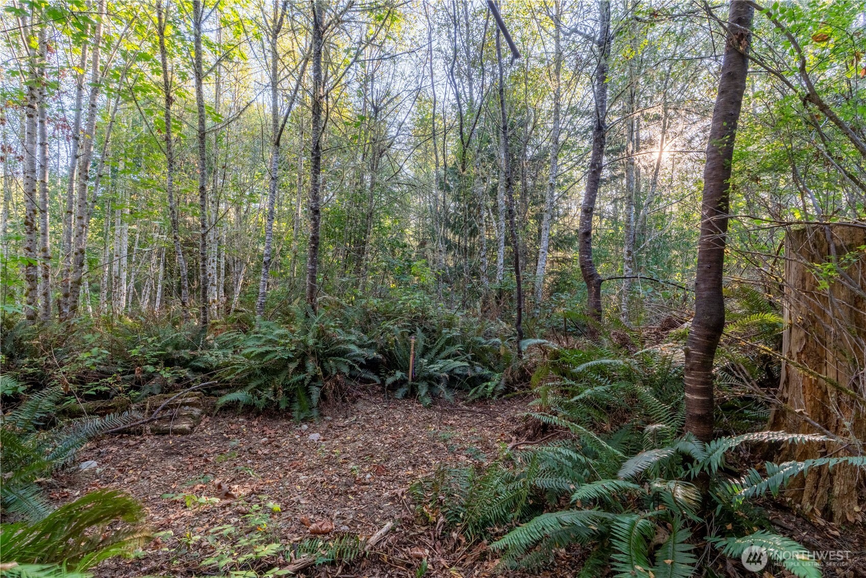 0 Lind Road Property Photo 12