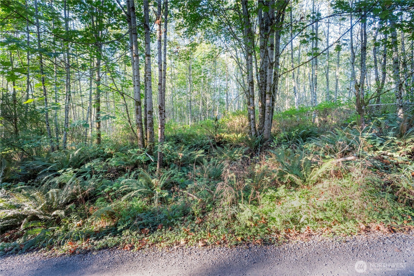 0 Lind Road Property Photo 13